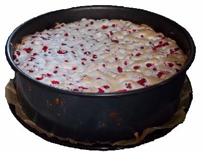 Bild vom Rezept Leichter Johannisbeerkuchen